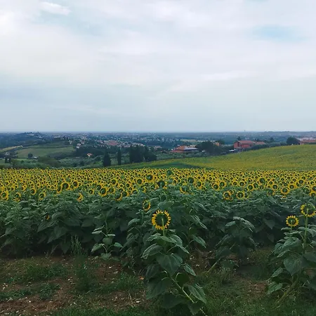 Conchiglia D'oro Casa vacanze *