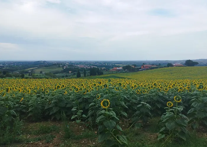 Conchiglia D'oro Casa vacanze *
